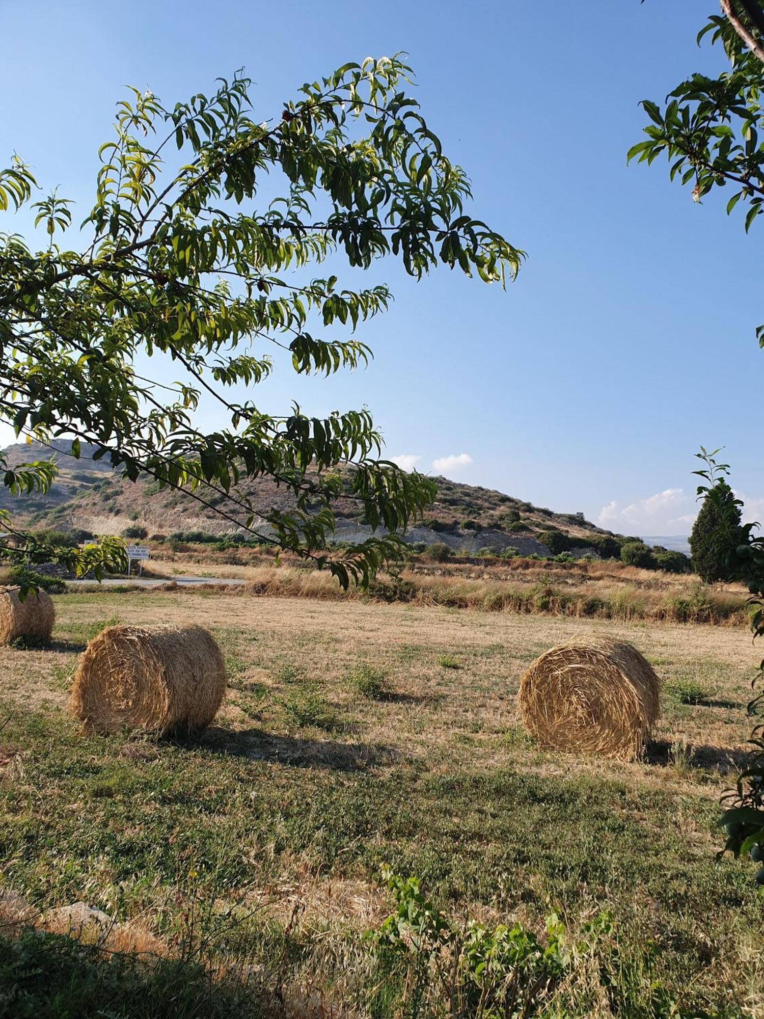 Vina Oliva Resort Pissouri Exteriér fotografie